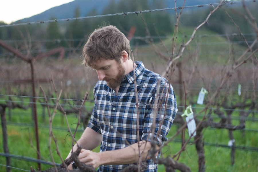 A man stands in a wine vineyard. 